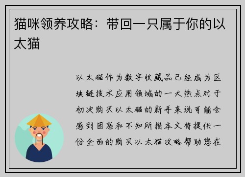 猫咪领养攻略：带回一只属于你的以太猫